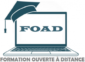 Formation Ouverte et à Distance - MESRS